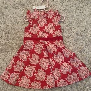 Adorable Janie and Jack girls dress